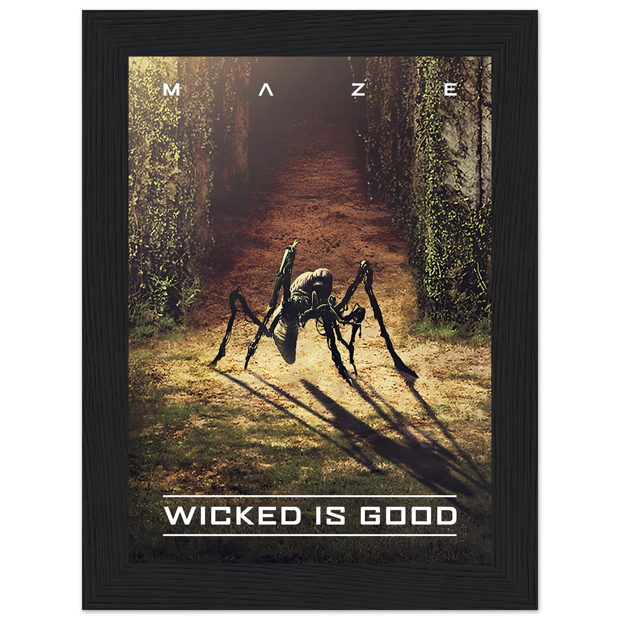 Poster encadré Maze