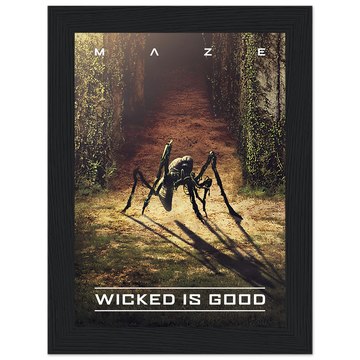 Poster encadré Maze